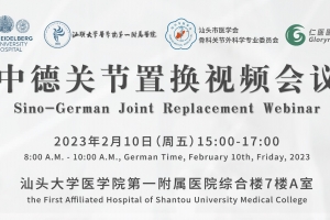 中德關節置換視頻會議