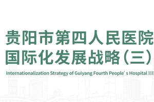 貴陽市第四人民醫院際化發展戰略（三）
