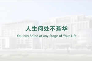 人生何處不芳華