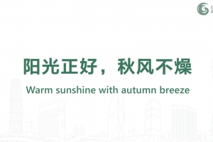 陽光正好，秋風不燥