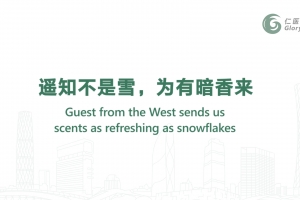 遙知不是雪，為有暗香來